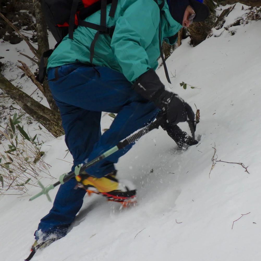 Black Diamond Expedition 3 Whippet - 140cm (Desert Sage)