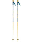 Rossignol Stove Ski Poles (Teal/Mustard)