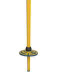 Rossignol Stove Ski Poles (Teal/Mustard) tip