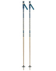 Rossignol Stove Ski Poles (Teal/Sand)