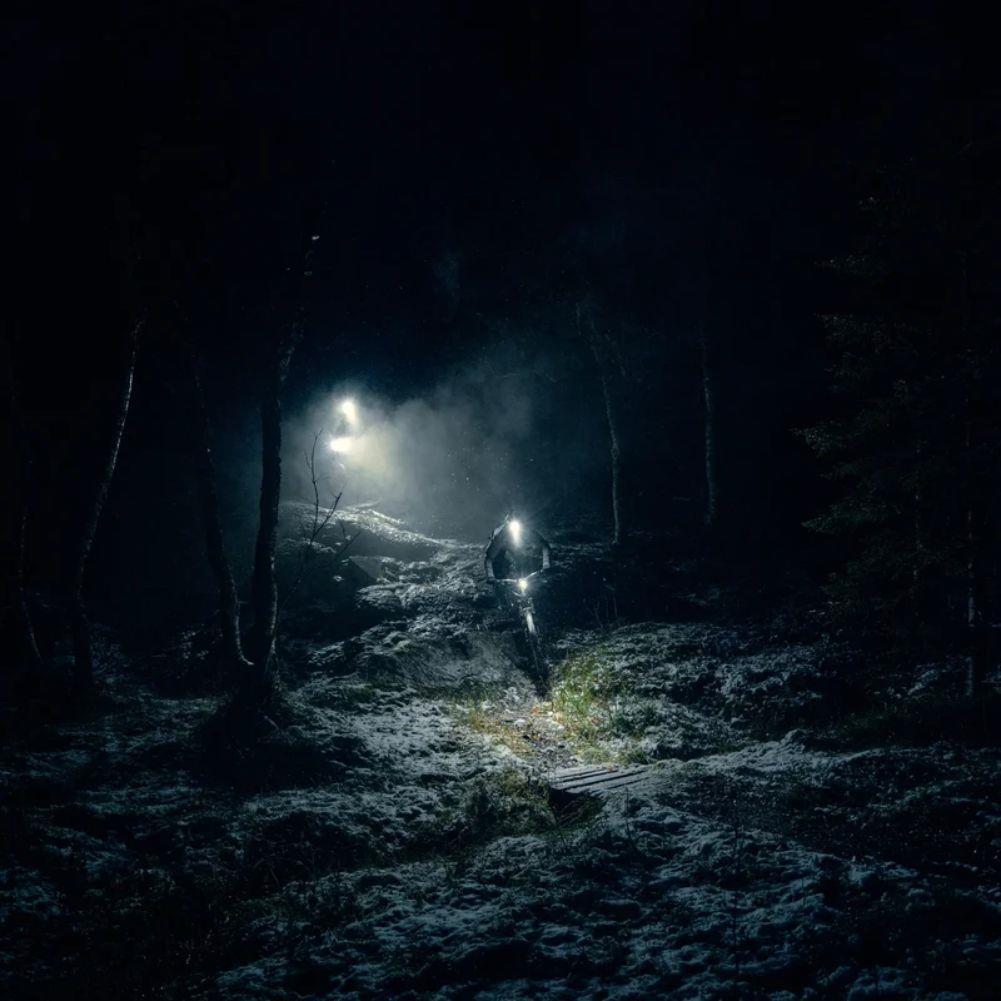 Silva Free Action 3400 Head Torch forest