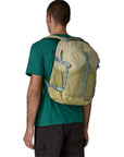 Patagonia Refugio 30L Daypack (Weathered Stone) back man