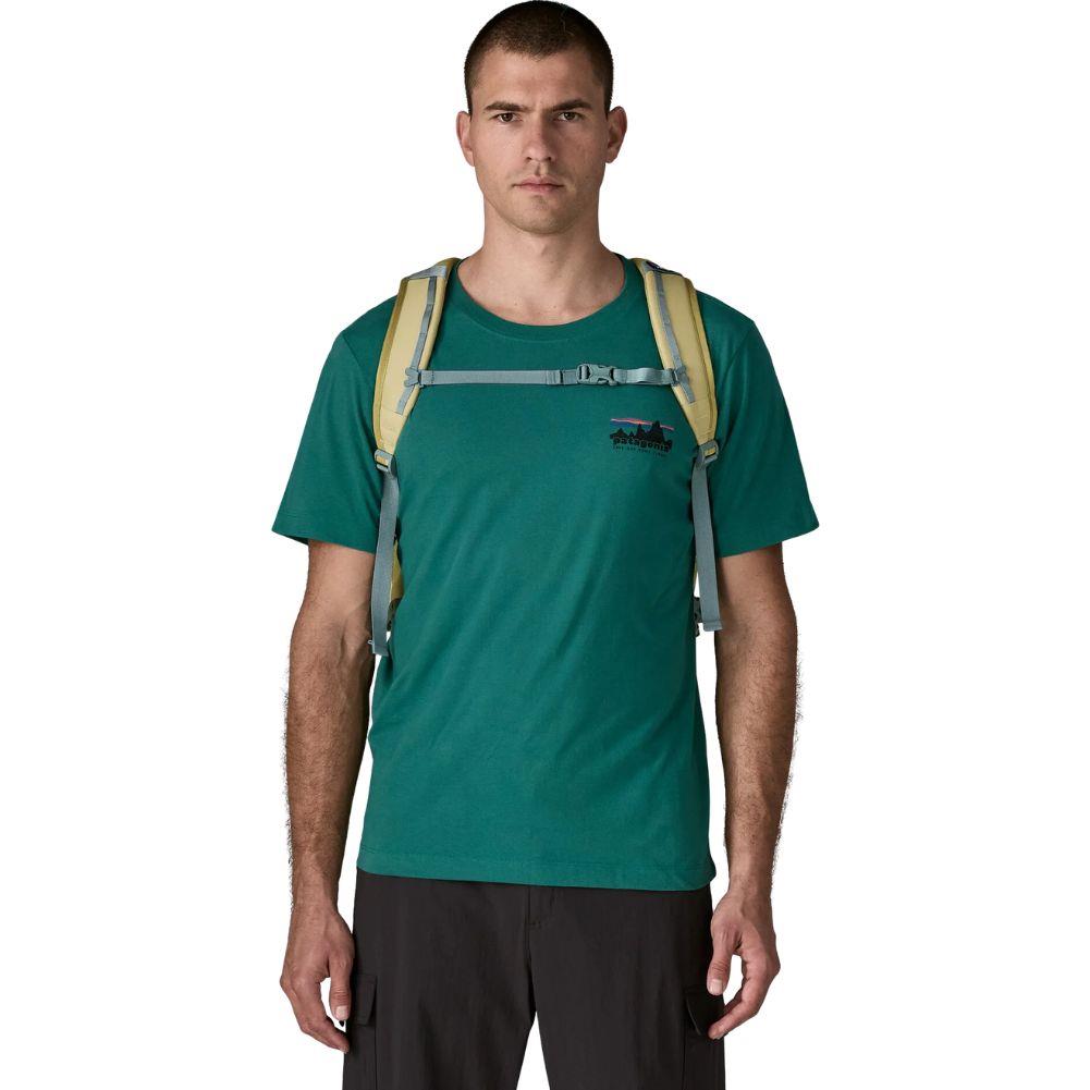 Patagonia Refugio 30L Daypack (Weathered Stone) front straps