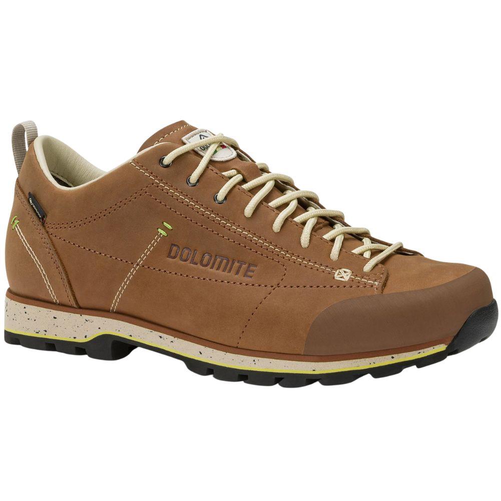 Dolomite Men's 54 Low Fg Evo GORE-TEX Shoe (Sepia Brown)
